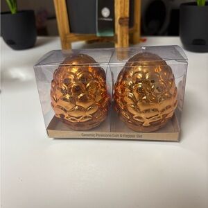 Copper Fall Autumn Winter Pinecone Salt & Pepper Shaker Set and Fall Wooden Sign